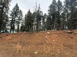 99 Via Del Rey, Angel Fire, NM 87710