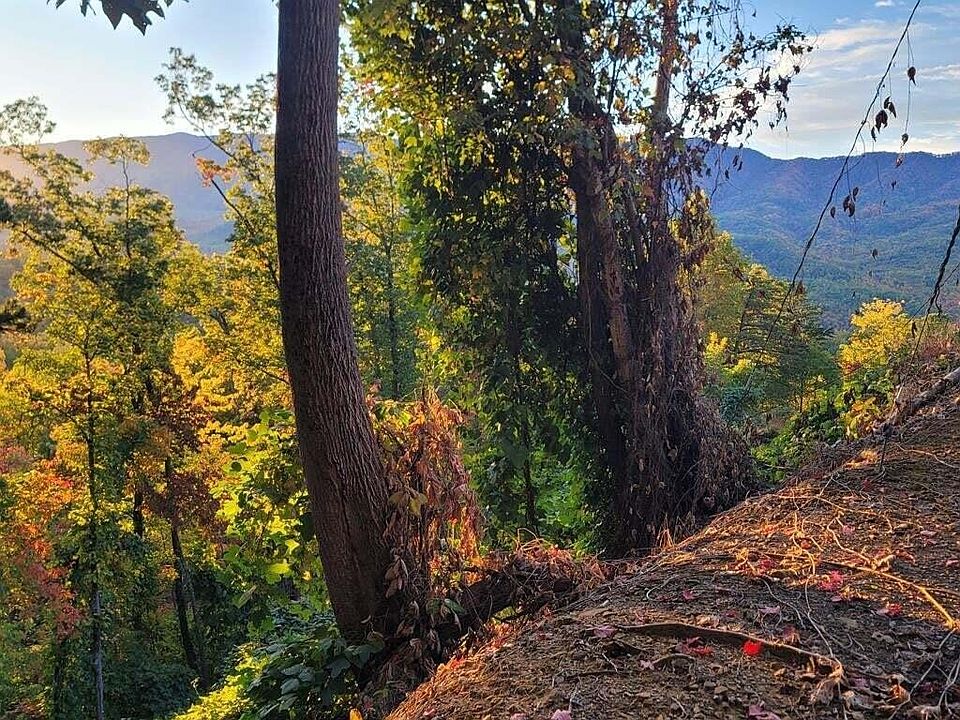 1st image of 0 Scenic Trl #2-3-4