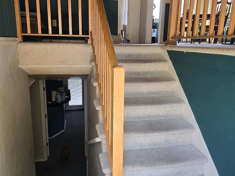 1002 S Cedar St — Photo 3