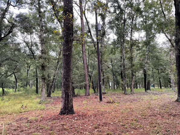 156 Palmetto Pointe Rd, Edisto Island, SC 29438