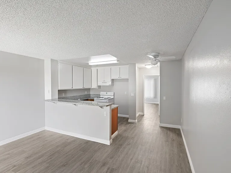 Living Room and Kitchen