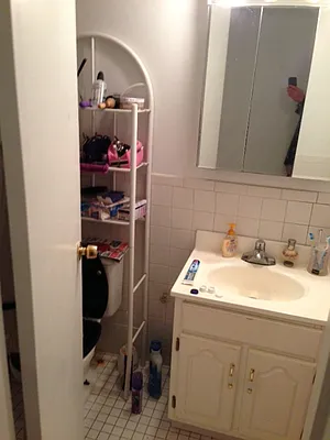 Rented by Eric Goodman Realty Corp | media 18