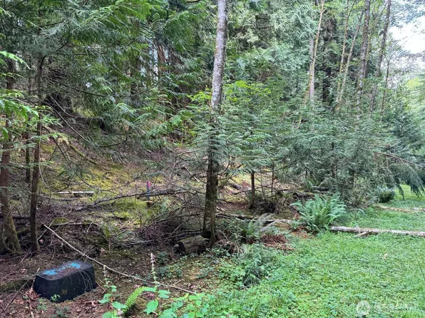 17 Black Bear Court, Bellingham, WA 98229