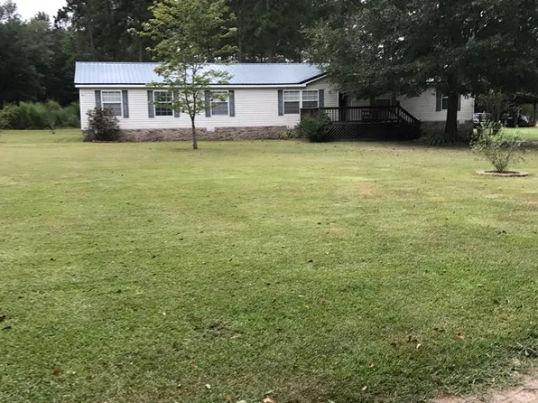 255 Holt Rd, Climax, GA 39834