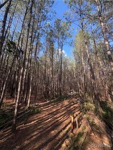 30-A-201 Ridgefield Rd Lot 201, Mathews, VA, 23109