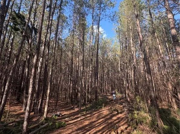 30-A-201 Ridgefield Rd Lot 201, Mathews, VA 23109