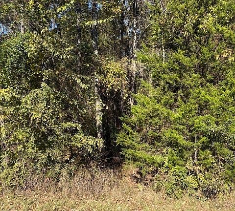 2nd image of 17851 Fm 3079