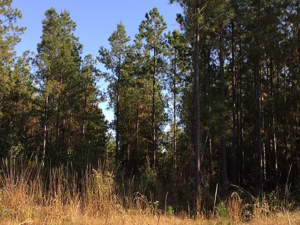1st image of 330 Co Rd 234