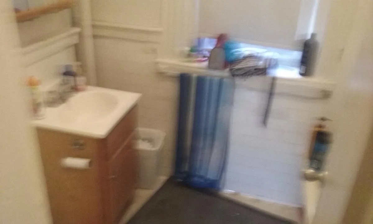 3 bed, 790 sqft, $2,645 — Photo 4