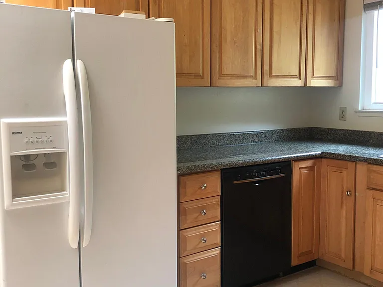kitchen fridge and dishwasher