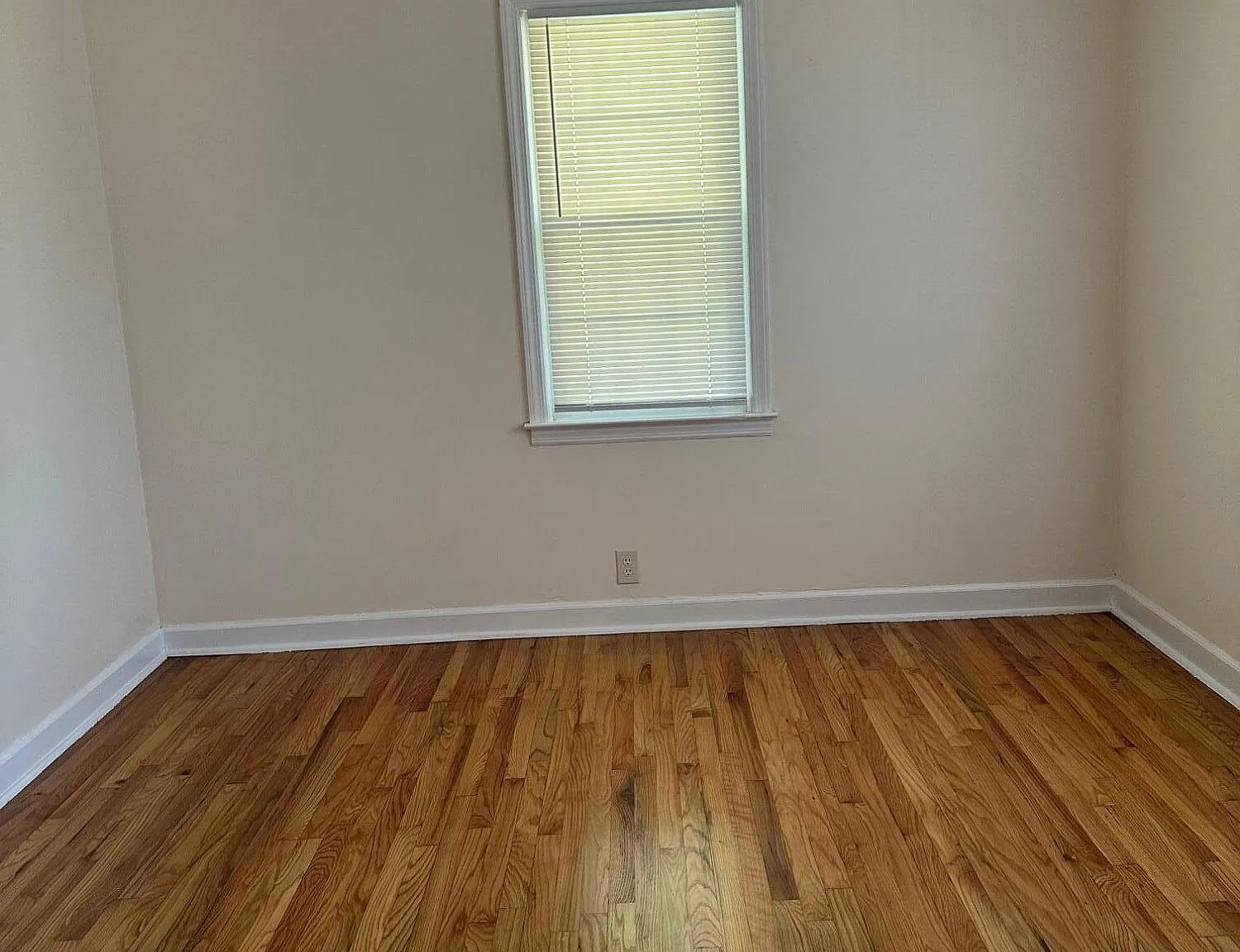 2 bed, 1.0 bath, 1234 sqft, $1,500 — Photo 3
