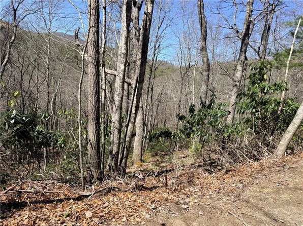 TBD Lot 19 Lost Trail, West Jefferson, NC 28694