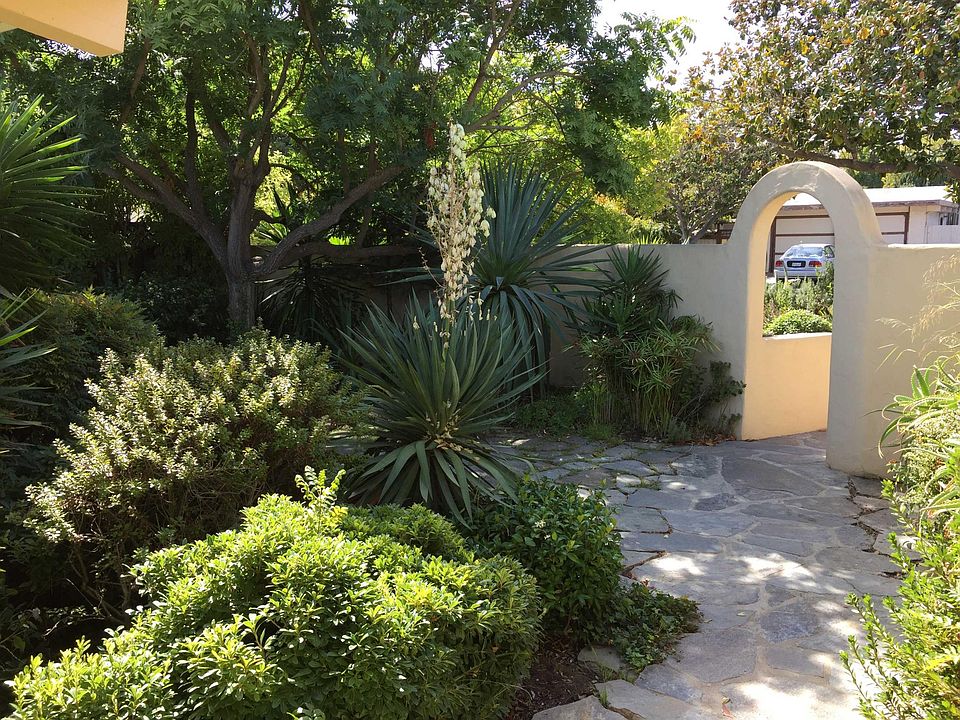 View of garden from front door
