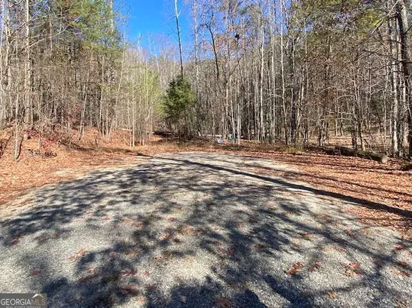 8 Cameron Point, Cleveland, GA 30528