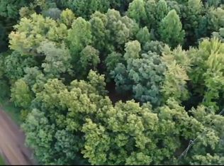 Orban Rd PARCEL A, Grass Lake, MI 49240