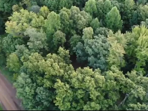 Orban Rd Parcel A, Grass Lake, MI 49240