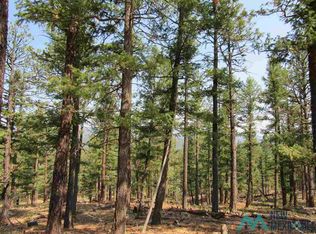 35 Russ Rd, Rociada, NM 87742