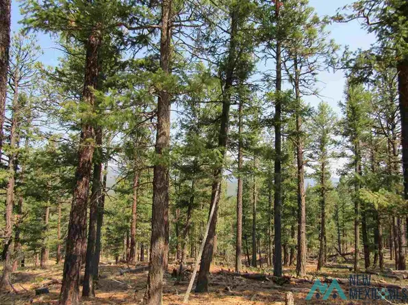 35 Russ Rd, Rociada, NM 87742