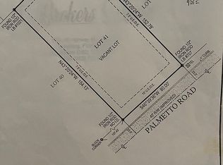 LOT 41 Palmetto Rd, Eustis, FL 32726