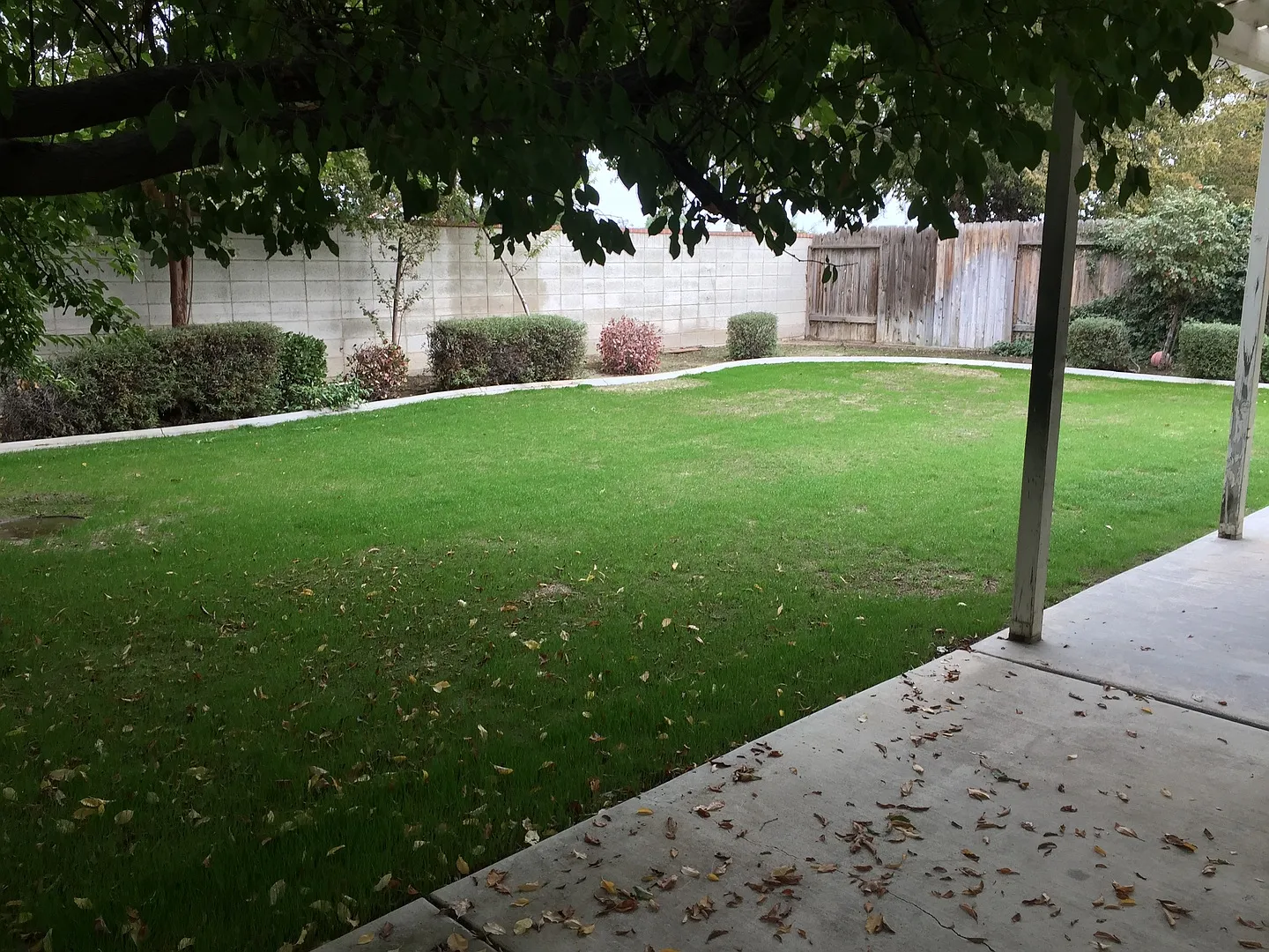 Beautiful Home in Fairway Oaks - Calloway Dr & Marby Grange Area - Northwest Bakersfield — Photo 2