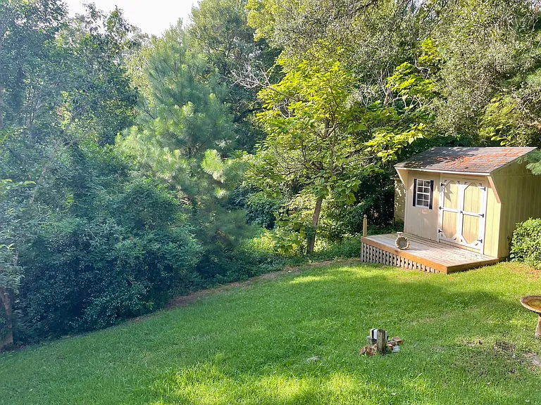 Backyard in the summer