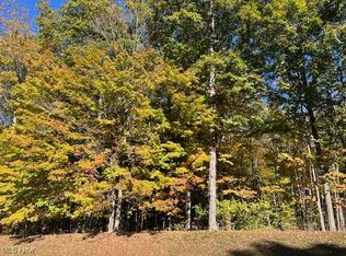 Reserve Dr, Medina, OH
