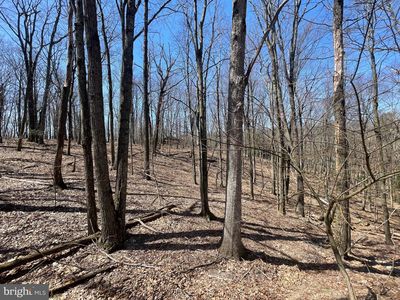 97 Snow Ridge Cir, Zion Grove, PA, 17985