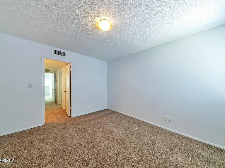 1215 E Lemon St #205 — Photo 11