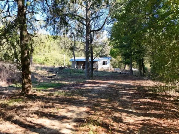 585 Berkeley Rd, Carlton, GA 30627