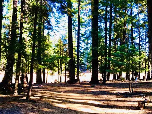 1124 Peninsula Dr, Westwood, CA 96137