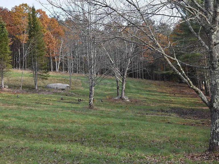 379 US Route 4 — Photo 19