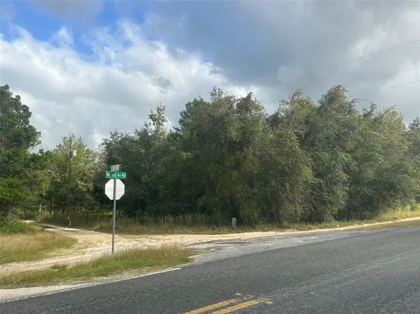 0 NE 236TH STREET LOT 32, SALT SPRINGS, FL 32134