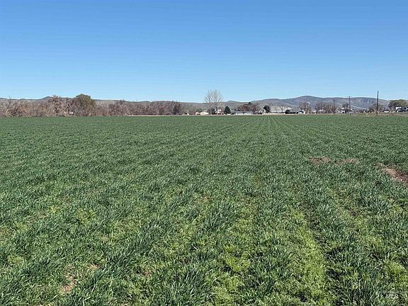 5th image of Ferrel Rd