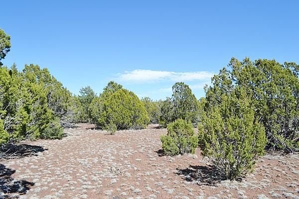 1st image of 154 County Road 3187