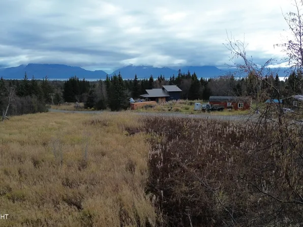 56420 Glenn Rd, Homer, AK 99603