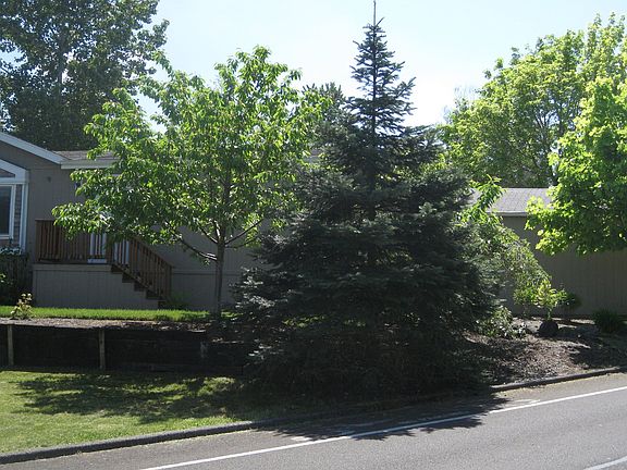 2nd image of 14704 S Brown Deer Dr #462