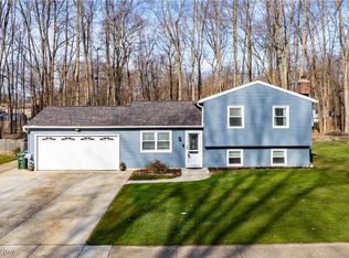 8547 Fairlane Dr, Olmsted Township, OH 44138