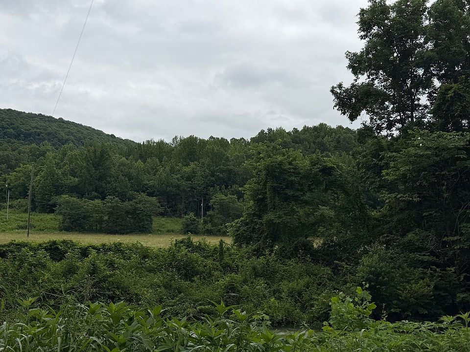Img 2475