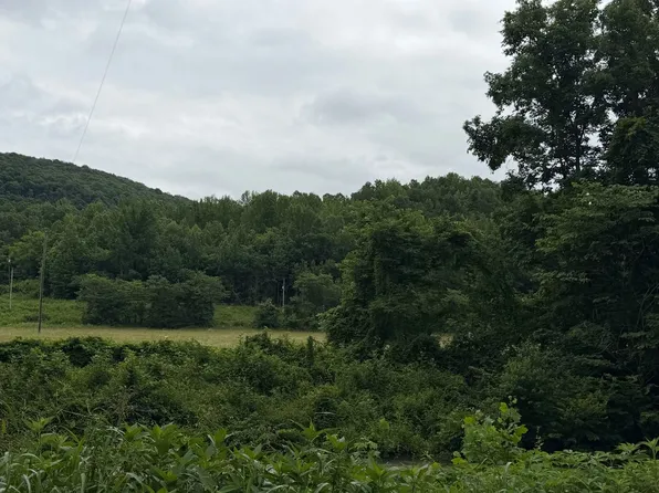 McElroy Gap Rd, Vendor, AR 72683