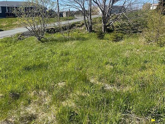 4th image of 2 Moore's Valley Road
