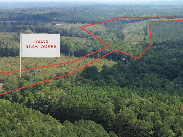 TRACT 3 Butler Rd, Franklin, GA 30217