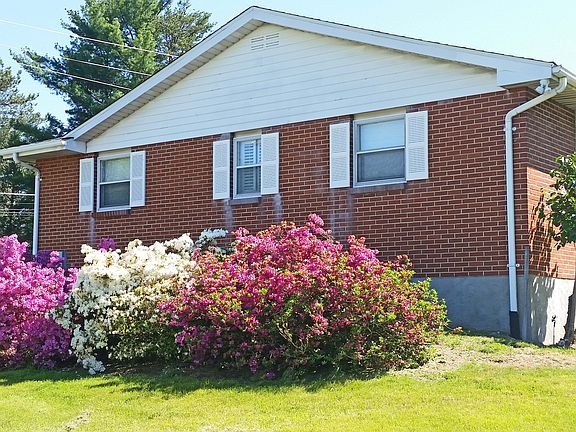 Established Azaeleas & Lilac