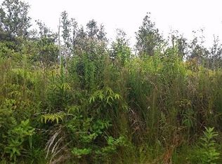 11 2744th #60, Volcano, HI 96785