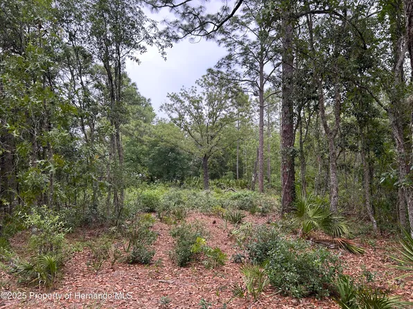 0 S Slash Pine Ave, Homosassa, FL 34446