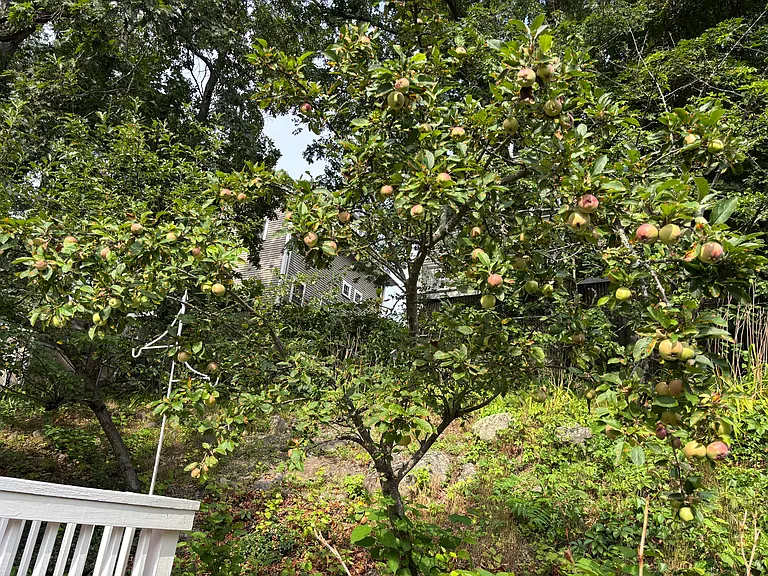 118 Montclair Ave — Photo 32