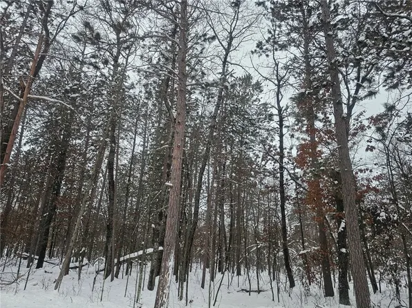 Lot 7 Long Lake Road, Danbury, WI 54830