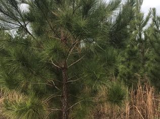 District Line Rd, Cuthbert, GA 39840