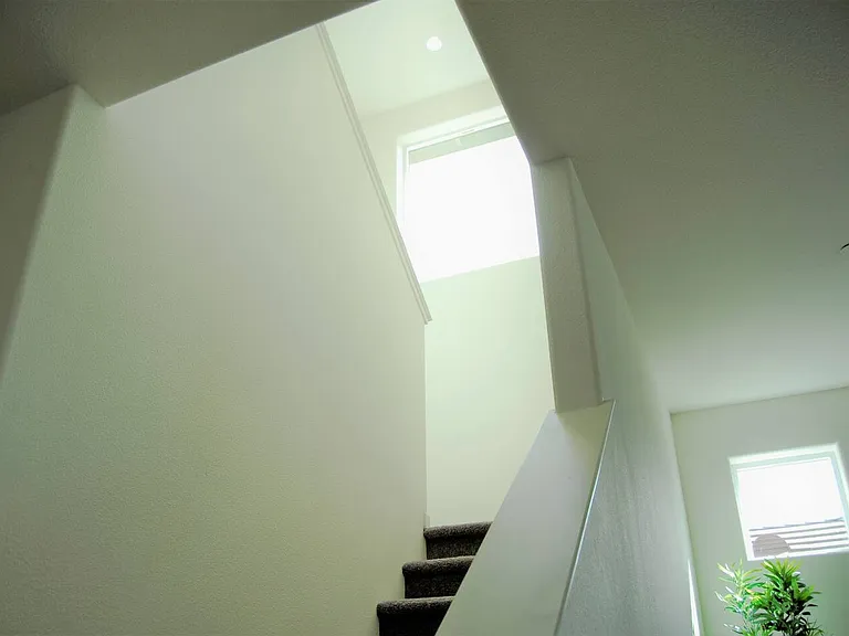 3655 El Dala Ln — Photo 16