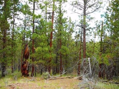19130 Doe Ln, Bend, OR, 97701