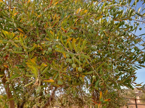 Bar Du Ln, Sacramento, CA 95829